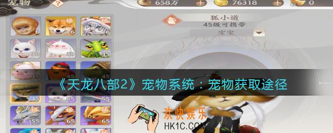 天龙八部2宠物怎么获得