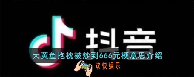 大黄鱼抱枕被炒到666元梗是什么意思