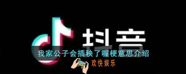 我家公子会插秧了喔梗是什么意思