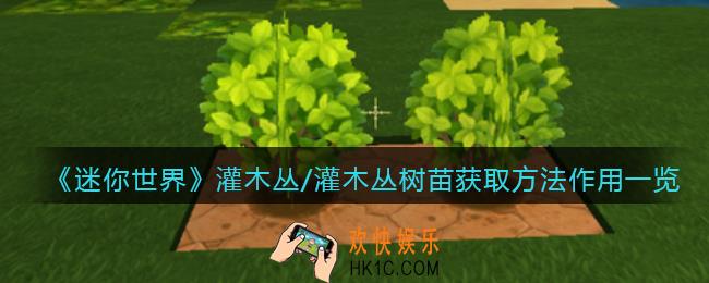 迷你世界灌木丛/灌木丛树苗怎么获得