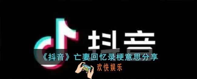 亡妻回忆录梗是什么意思