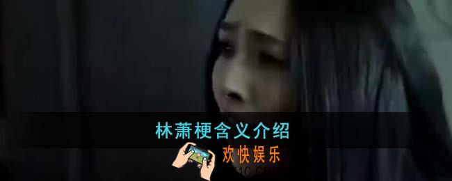 林萧梗是什么意思
