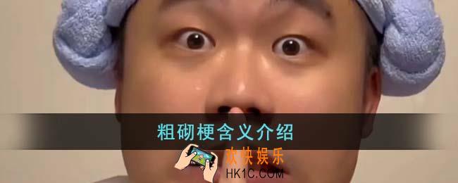 粗砌梗是什么意思