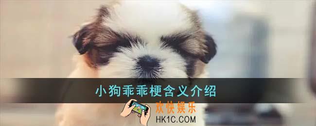 小狗乖乖梗是什么意思