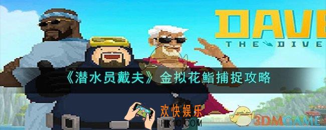 潜水员戴夫金拟花鮨在哪抓