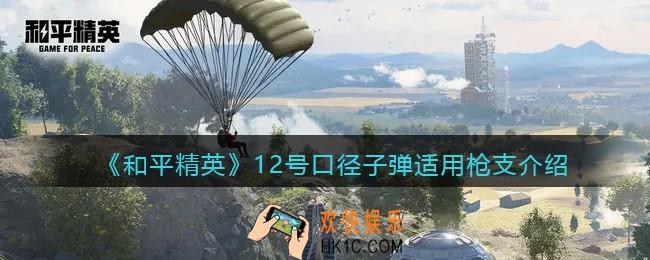 和平精英12号口径子弹的枪有哪些