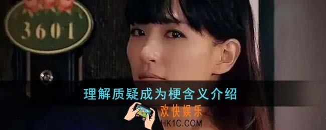 理解质疑成为梗是什么意思