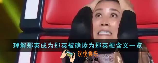 理解那英成为那英被确诊为那英梗是什么意思
