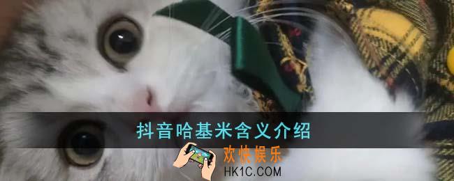 抖音哈基米是什么意思
