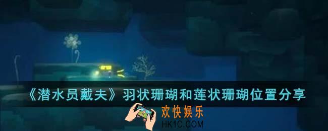 潜水员戴夫羽状珊瑚和莲状珊瑚在哪