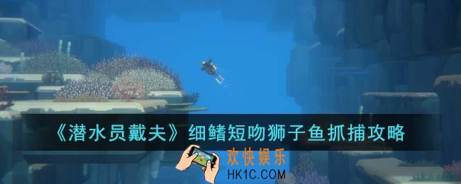 潜水员戴夫细鳍短吻狮子鱼怎么抓
