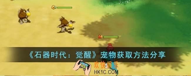 石器时代觉醒宠物获取方法有哪些