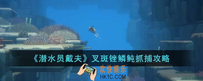 潜水员戴夫叉斑锉鳞鲀怎么抓