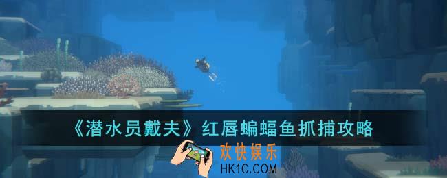 潜水员戴夫红唇蝙蝠鱼怎么抓