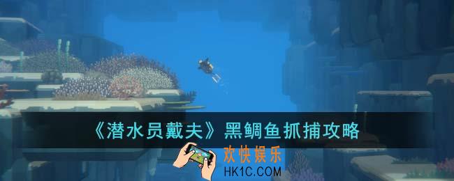 潜水员戴夫黑鲷鱼怎么抓