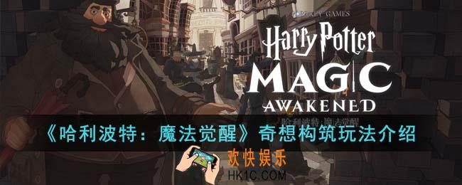 哈利波特魔法觉醒奇想构筑怎么玩