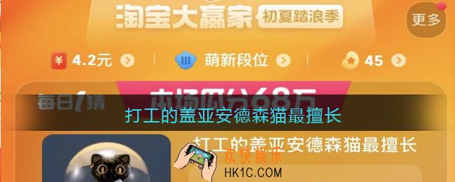 打工的盖亚安德森猫最擅长