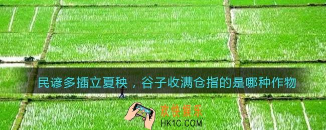 民谚多插立夏秧，谷子收满仓指的是哪种作物