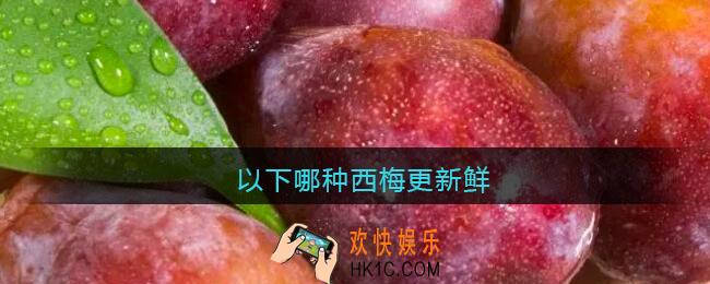 以下哪种西梅更新鲜