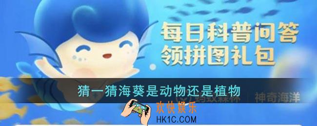 猜一猜海葵是动物还是植物