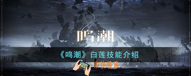 鸣潮白莲怎么样