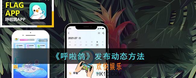 呼啦鸽怎么发布动态