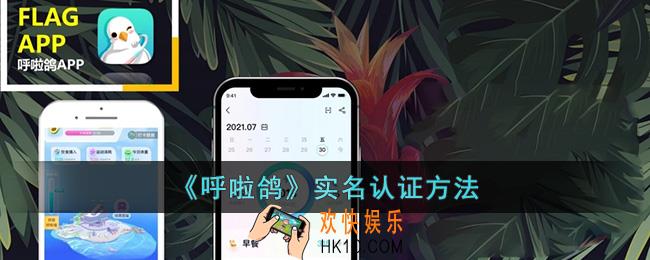 呼啦鸽怎么实名认证