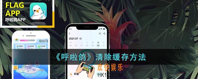 呼啦鸽怎么清除缓存