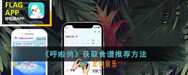 呼啦鸽怎么获取食谱推荐