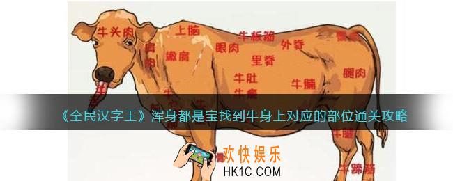全民汉字王浑身都是宝怎么过
