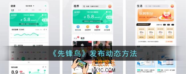 先锋鸟怎么发布动态