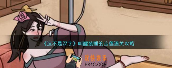 这不是汉字叫醒金莲攻略