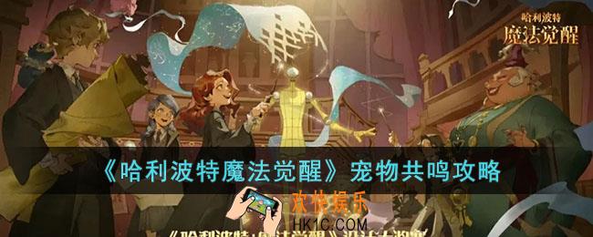 哈利波特魔法觉醒宠物如何共鸣