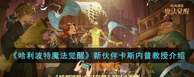 哈利波特魔法觉醒新伙伴卡斯内普教授怎么样