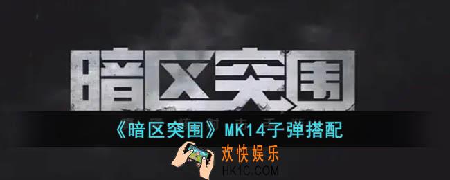 暗区突围MK14用什么子弹