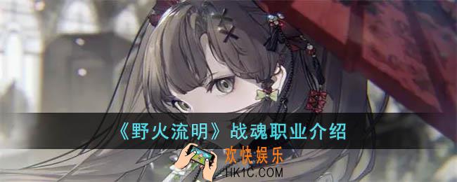 野火流明战魂职业怎么样