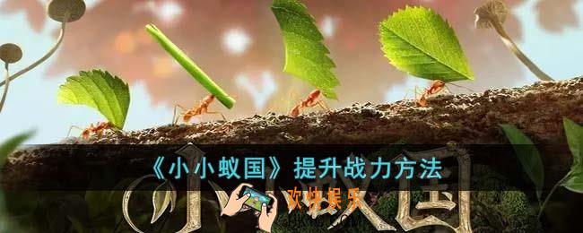 小小蚁国怎么提升战力