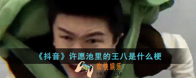 抖音许愿池里的王八是什么梗