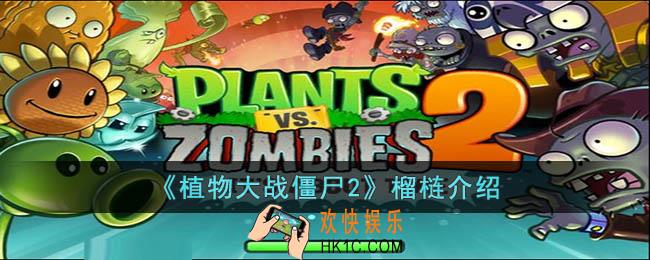 植物大战僵尸2榴梿怎么样