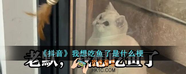 抖音我想吃鱼了是什么梗