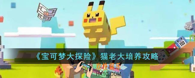 宝可梦大探险猫老大怎么培养