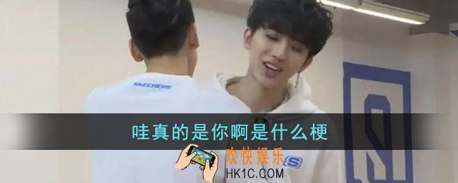 哇真的是你啊是什么梗