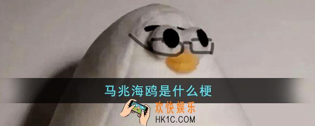 马兆海鸥是什么梗