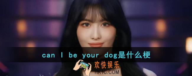 can I be your dog梗是什么意思