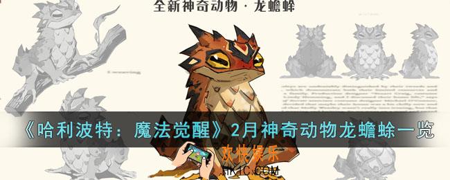 哈利波特魔法觉醒2月神奇动物是什么