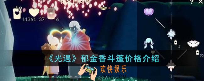 光遇郁金香斗篷多少钱