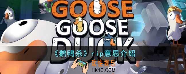 鹅鸭杀rip是什么意思