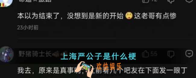 上海严公子是什么梗