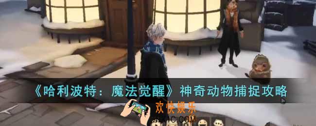 哈利波特魔法觉醒神奇动物在哪里捕捉