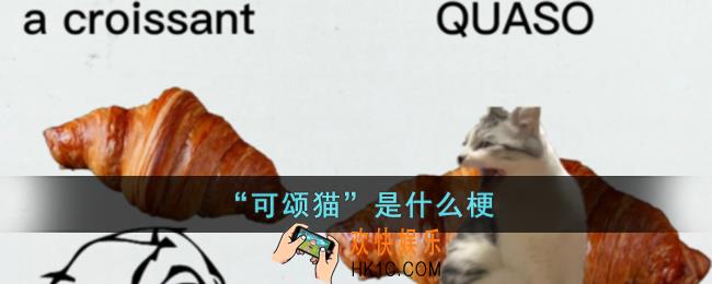 可颂猫是什么意思